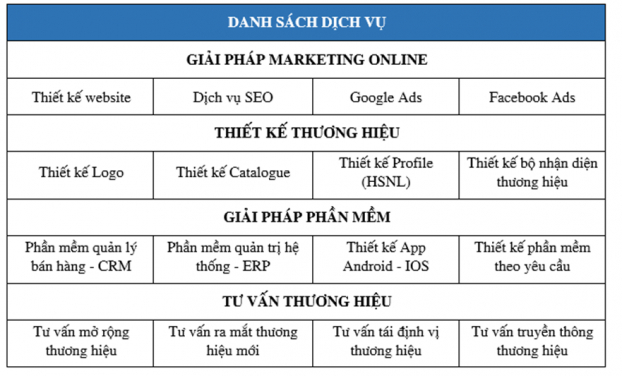 CIT Group – Đồng hành cùng chuyên gia Thiết kế Website 1