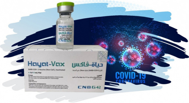   Vắc-xin Hayat-vax vừa được Bộ Y tế phê duyệt.  