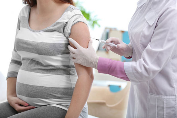   TP.HCM phân bổ hơn 100.000 liều vắc xin phòng COVID-19 để tiêm cho thai phụ. Ảnh minh họa  