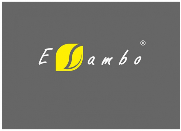 Elambo - Thương hiệu thổi 'làn gió mới' trong thị trường chăn ga gối hiện đại 0
