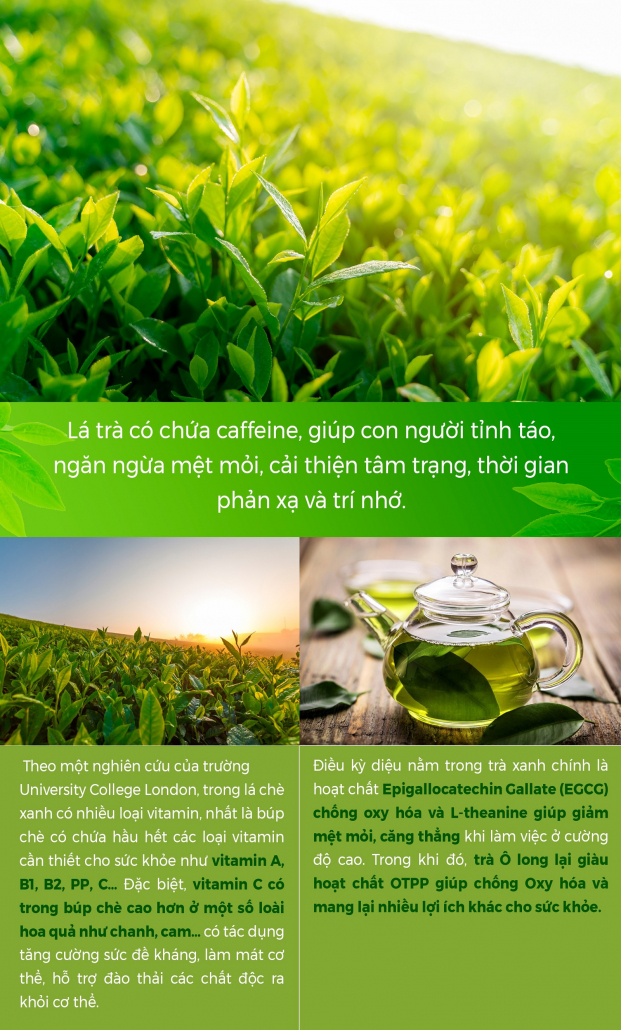 Uống trà thế nào để vừa giải nhiệt vừa tốt cho sức khỏe? 0