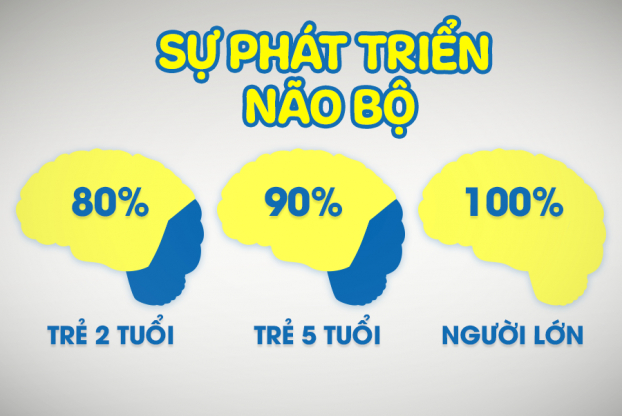   Trong những năm đầu đời, não bộ và trí tuệ của trẻ phát triển rất nhanh. Ảnh minh họa  