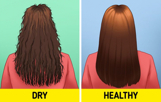 Điều gì sẽ xảy ra với mái tóc nếu bạn gội đầu hàng ngày? 1