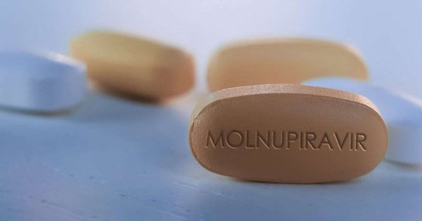   Thuốc kháng virus Molnupiravir được sử dụng cho F0 thể nhẹ điều trị tại nhà. Ảnh minh họa  