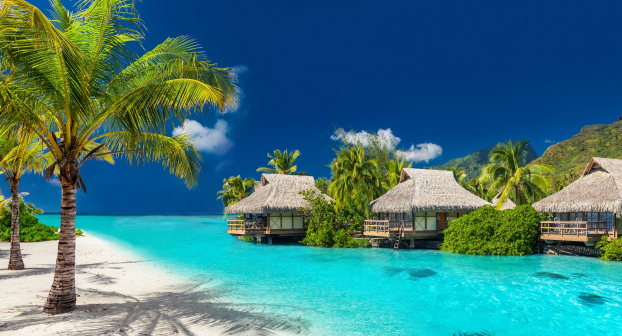  Những khu nghỉ dưỡng nhiệt đới luôn hấp dẫn du khách (Ảnh Shutterstock)  