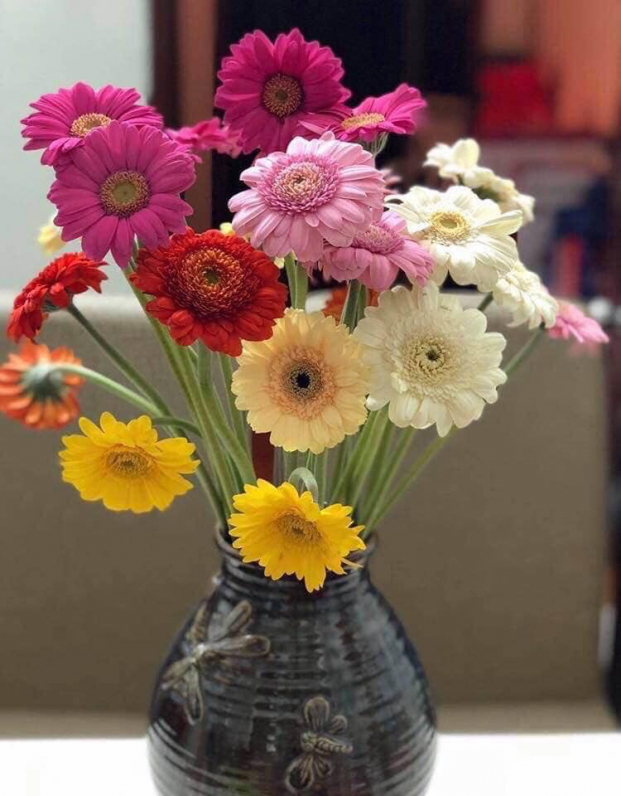 10 loại hoa đẹp nên chưng trong phòng khách ngày Tết để năm mới nhiều may mắn, tài lộc 2