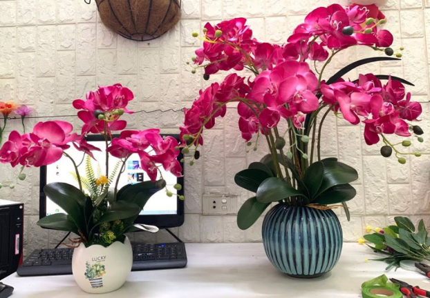 10 loại hoa đẹp nên chưng trong phòng khách ngày Tết để năm mới nhiều may mắn, tài lộc 5