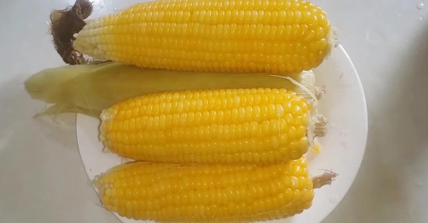 Điều gì sẽ xảy ra với cơ thể nếu bạn ăn ngô? 0