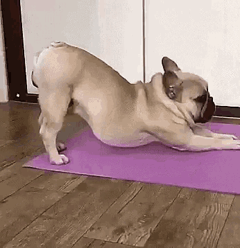 Bài tập yoga siêu thon giúp người Nhật giảm 4 kg, eo nhỏ hẳn 10 cm chỉ sau 1 tháng 4