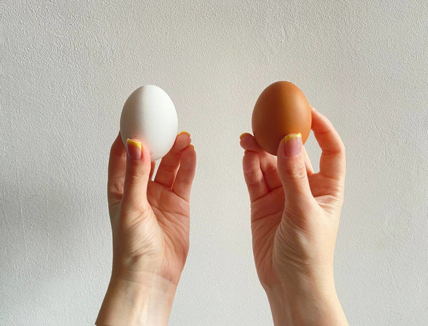 Sự khác biệt giữa trứng gà màu trắng và màu nâu, loại nào tốt hơn? 0