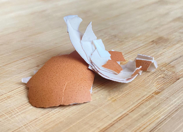 Sự khác biệt giữa trứng gà màu trắng và màu nâu, loại nào tốt hơn? 2