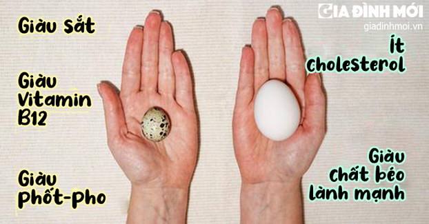 Trứng cút và trứng gà khác nhau ở đâu, ăn trứng nào bổ nhất? 0
