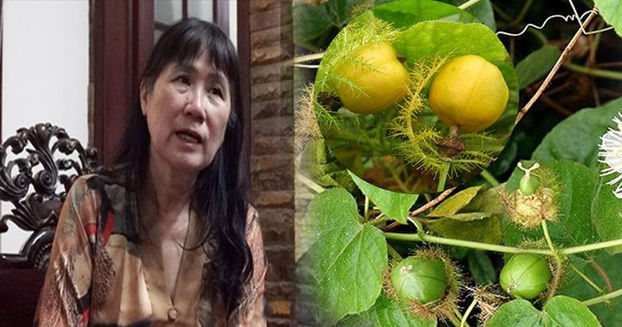   Người phụ nữ ở Hà Nội rơi xuống vực sâu 7 ngày ở Yên Tử đã sống sót kỳ diệu nhờ ăn rau rừng và quả lạc tiên  