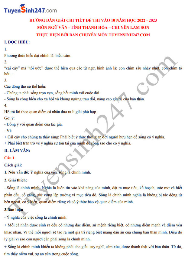 Gợi ý đáp án đề thi môn Ngữ văn vào lớp 10 trường THPT chuyên Lam Sơn năm 2022 đầy đủ nhất 3