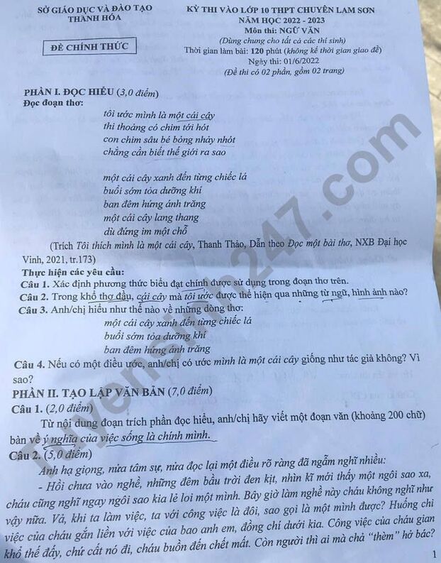 Gợi ý đáp án đề thi môn Ngữ văn vào lớp 10 trường THPT chuyên Lam Sơn năm 2022 đầy đủ nhất 0