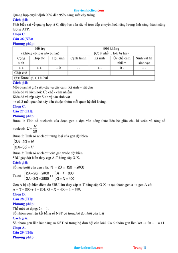 Đề thi thử tốt nghiệp THPT 2022 môn Sinh học mới nhất có đáp án 11