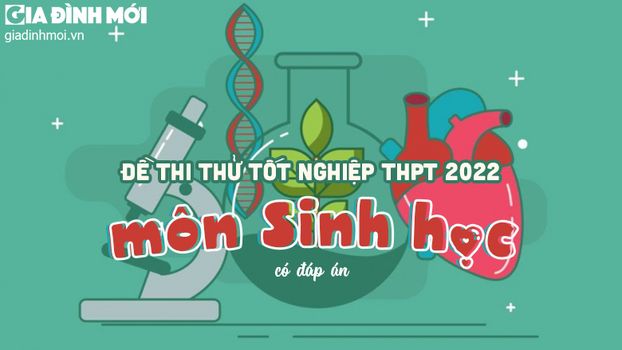 Đề thi thử tốt nghiệp THPT 2022 môn Sinh học mới nhất có đáp án 0