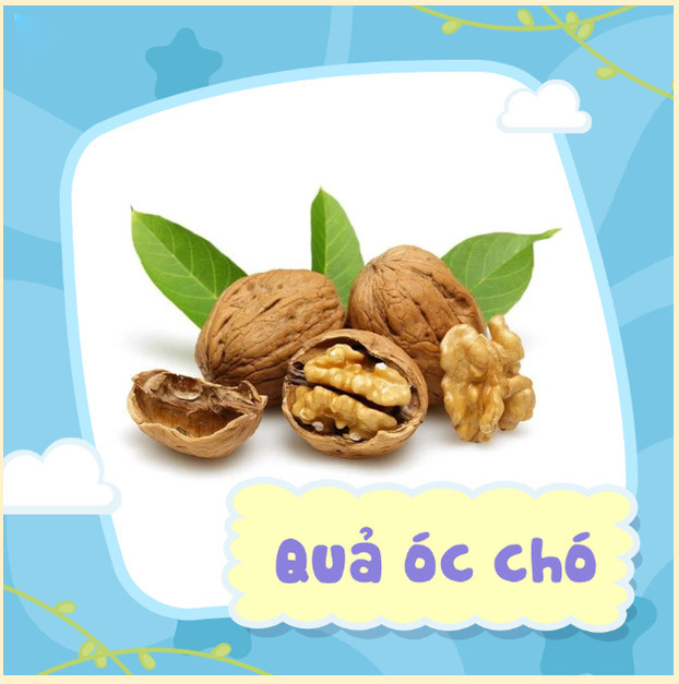 Quả óc cho cung cấp dưỡng chất cần thiết cho sự phát triển não bộ