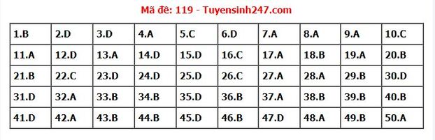 Đáp án môn Toán mã đề 119 thi tốt nghiệp THPT 2022 chi tiết, chính xác nhất 0