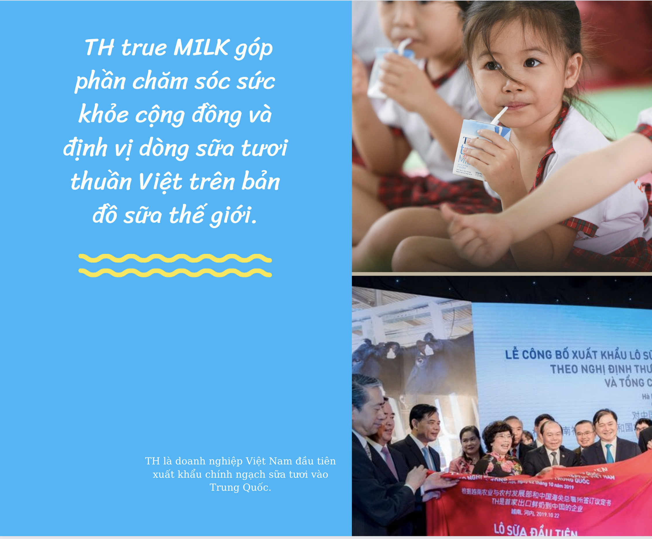 TH true MILK: Dòng sữa tươi sạch từ đồng đất Việt vươn tầm quốc tế 3