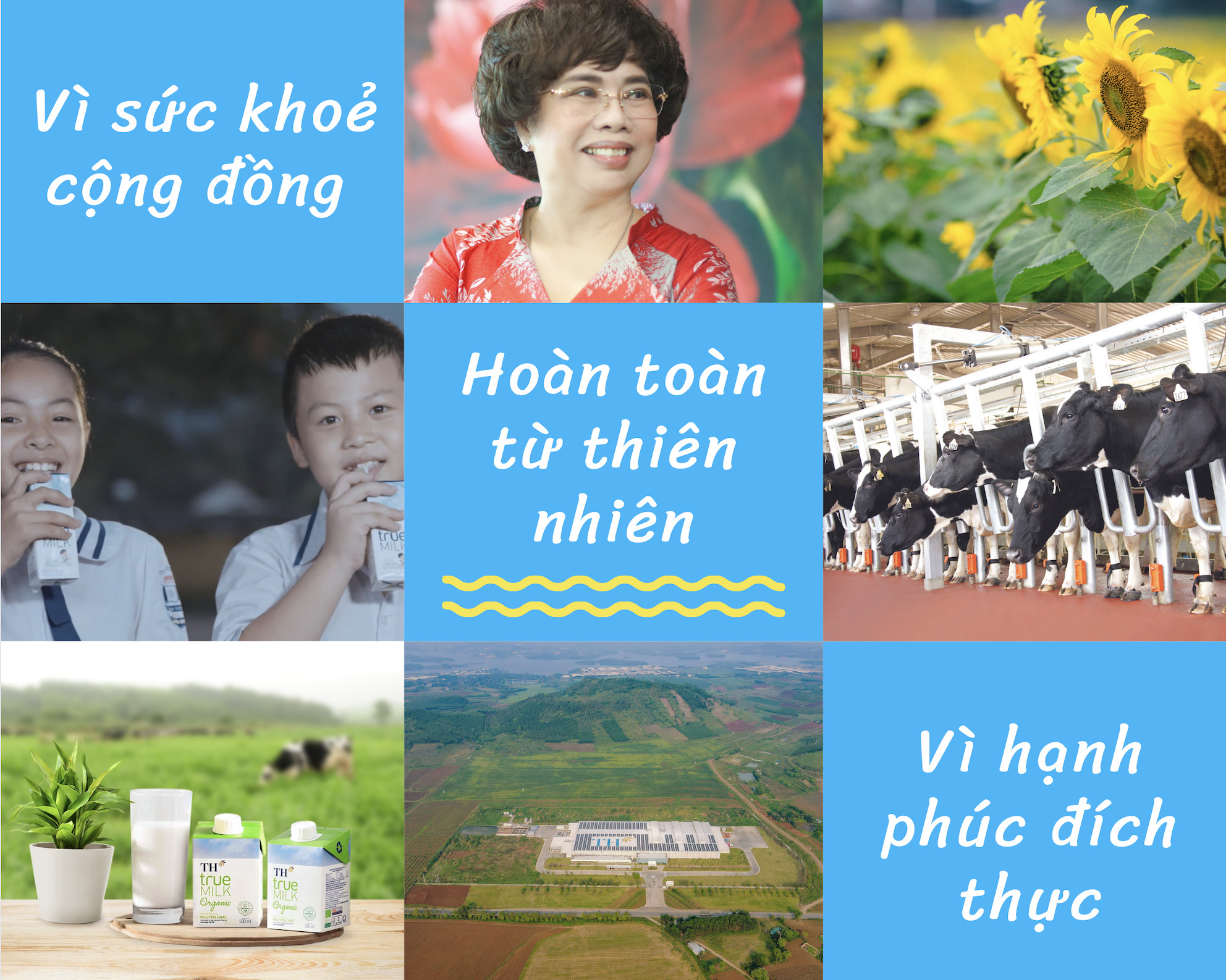 TH true MILK: Dòng sữa tươi sạch từ đồng đất Việt vươn tầm quốc tế 0