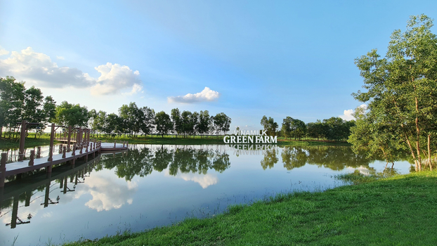   Mạch nước ngầm tại Trang trại Vinamilk Green Farm chính là yếu tố chính góp phần kiến tạo nên những hồ điều hòa sinh thái mang lại không khí mát mẻ, trong lành cho những cô bò  