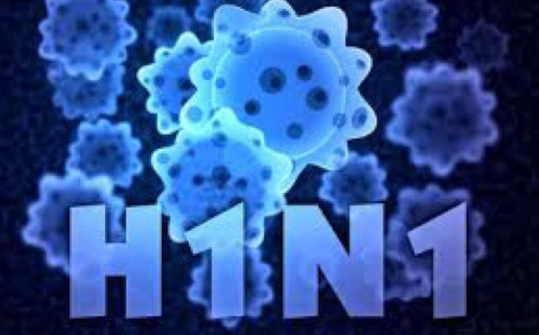 Cúm A/H1N1 có những triệu chứng gì, cách phân biệt cúm A và cảm cúm thông thường 0