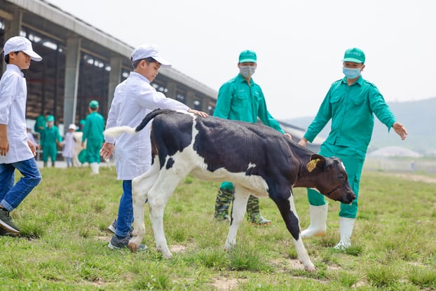Những khoảnh khắc đẹp trên hành trình của Quỹ sữa Vươn cao Việt Nam năm thứ 15 9
