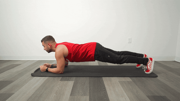 4 bài tập plank giảm mỡ bụng, xây dựng sức mạnh vùng core không cần dụng cụ hay đi gym 0