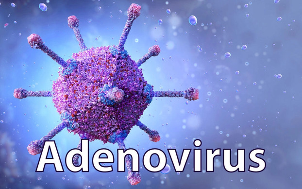 Số ca mắc virus Adeno tại Hà Nội đang tăng cao. Ảnh minh họa