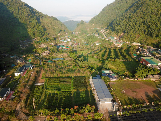 Thung lũng Mường Lống (Nghệ An) có khí hậu như Sa Pa (Lào Cai), Đà Lạt (Lâm Đồng) đang được Tập đoàn TH đầu tư phát triển nhiều loại dược liệu