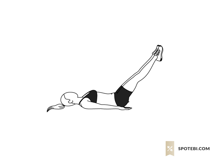roll-over-exercise-illustration-spotebi