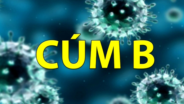 Virus cúm B có thể gây ra suy hô hấp. Ảnh minh họa