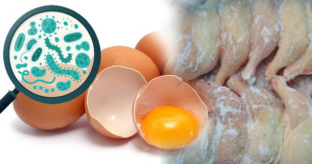 Trong trứng gia cầm và thịt gia cầm đông đá đều có thể chứa vi khuẩn Salmonella. Ảnh minh họa