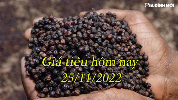 Giá tiêu hôm nay 25/11/2022: Tăng thêm 500 đ/kg tại một số tỉnh