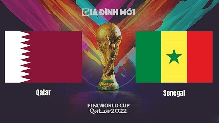 Link xem trực tiếp bóng đá giữa Qatar vs Senegal tại World Cup 2022 hôm nay 25/11