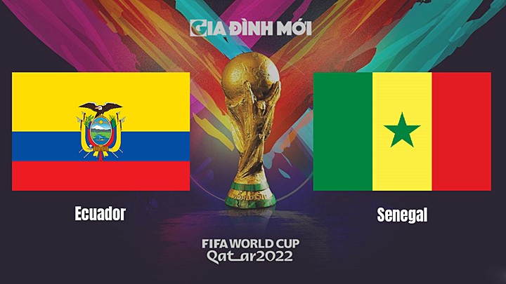 Link xem trực tiếp bóng đá giữa Ecuador vs Senegal tại World Cup 2022 hôm nay 29/11/2022