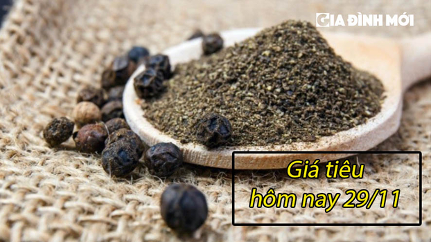 Giá tiêu hôm nay 29/11/2022: Tăng mạnh trong nước