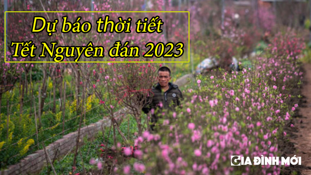 Dự báo thời tiết Tết Nguyên đán 2023, Tết 2023 có mưa lạnh không? 