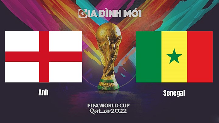 Link xem trực tiếp bóng đá giữa Anh vs Senegal tại vòng 1/8 World Cup 2022 ngày 5/12/2022