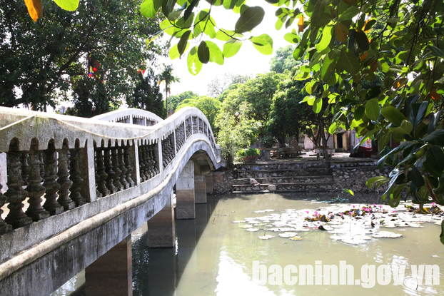 Cây cầu uốn cong trên hồ sen trước đền.