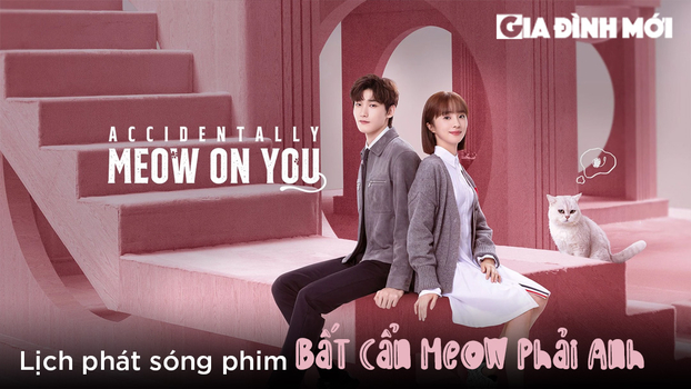 lich-phat-song-phim-bat-can-meow-phai-anh-01