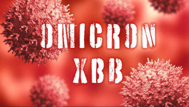 Chưa phát hiện biến thể phụ XBB.1.5 của COVID-19 ở TP.HCM