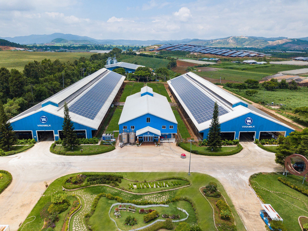 Các trang trại Vinamilk Green Farm đều sử dụng năng lượng mặt trời, góp phần làm giảm thiểu ảnh hưởng biến đổi khí hậu