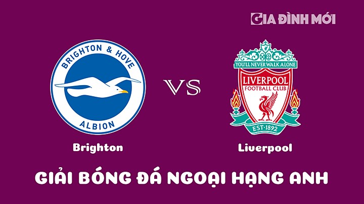Nhận định bóng đá Brighton vs Liverpool tại vòng 20 Ngoại hạng Anh 2022/23 hôm nay 14/1/2023
