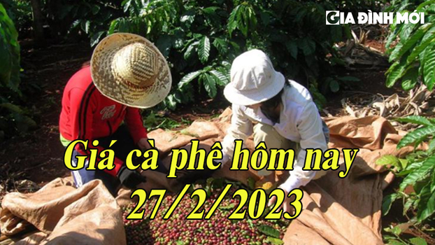 Giá cà phê hôm nay 27/2/2023: Giảm 200 đ/kg ở phiên mới nhất