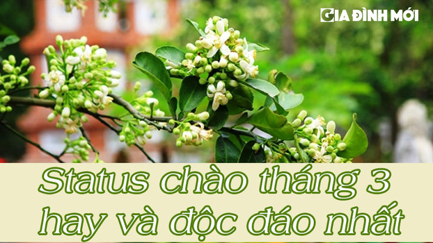 Status chào tháng 3 độc đáo nhất, hay và ý nghĩa nhất