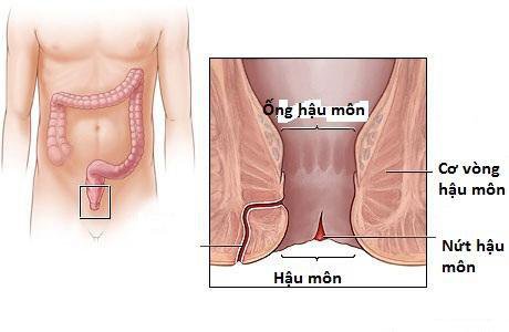 Nứt kẽ hậu môn nếu không chú trọng kiểm soát vết nứt sẽ dẫn đến hình thành nhiều biến chứng nguy hiểm. Ảnh minh họa