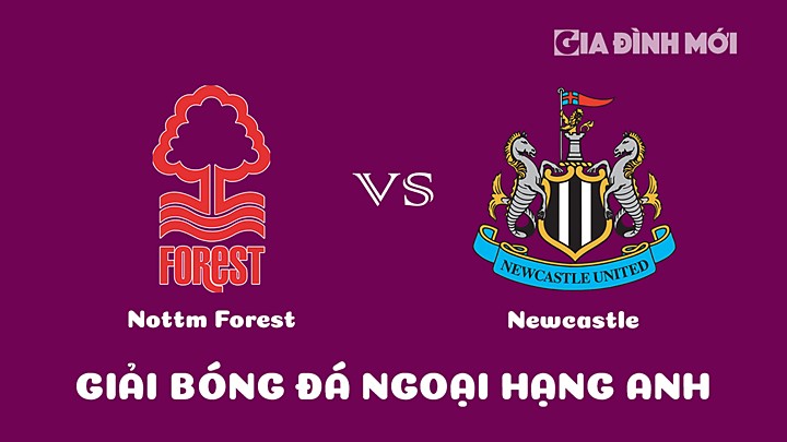 Nhận định bóng đá Nottingham Forest vs Newcastle United tại vòng 28 Ngoại hạng Anh 2022/23 ngày 18/3/2023