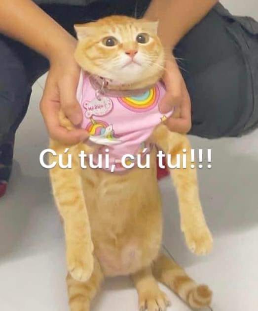 Mỹ Diệu: Cứu tôi!